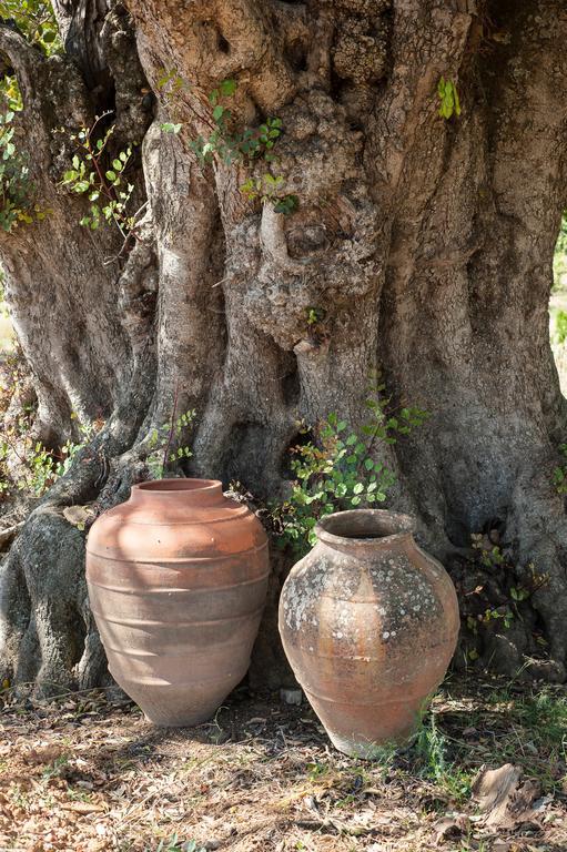 Pensão Agrícola Cabanas De Tavira