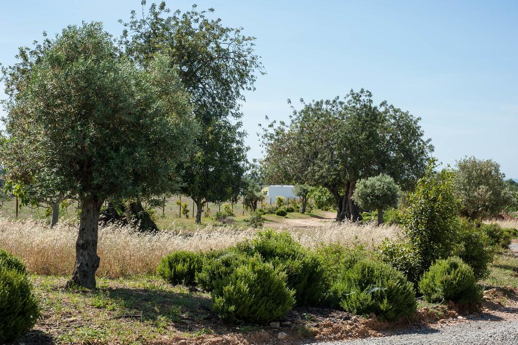 Pensão Agrícola Casa de Campo